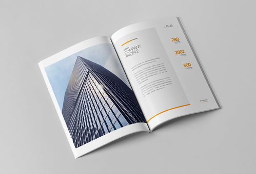 簡約大氣，專業信賴 商務咨詢與投資企業公司畫冊